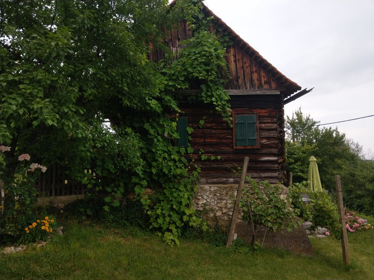 The vine cellar where the Buschenschanksprint took place.